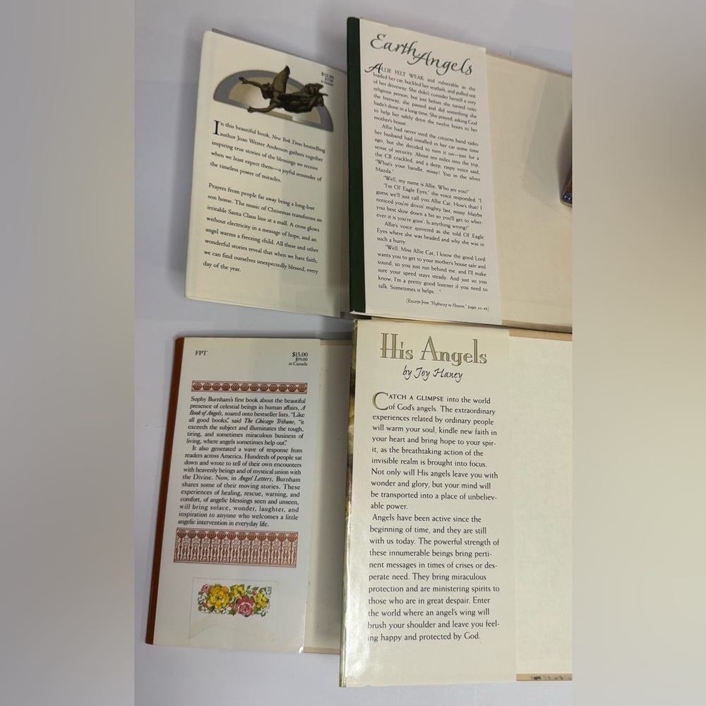 Angel Book Bundle: Angels We Have Heard On High, Earth Angels, Angel Letters +1 - Picture 3 of 16